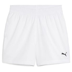 puma shorts mens