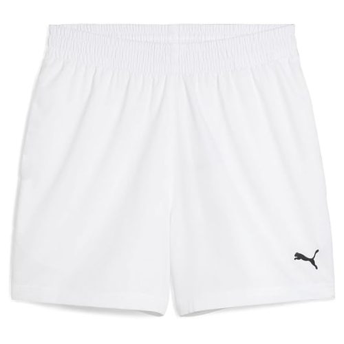 puma shorts mens
